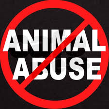 stop animal abuse