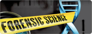 forensic science