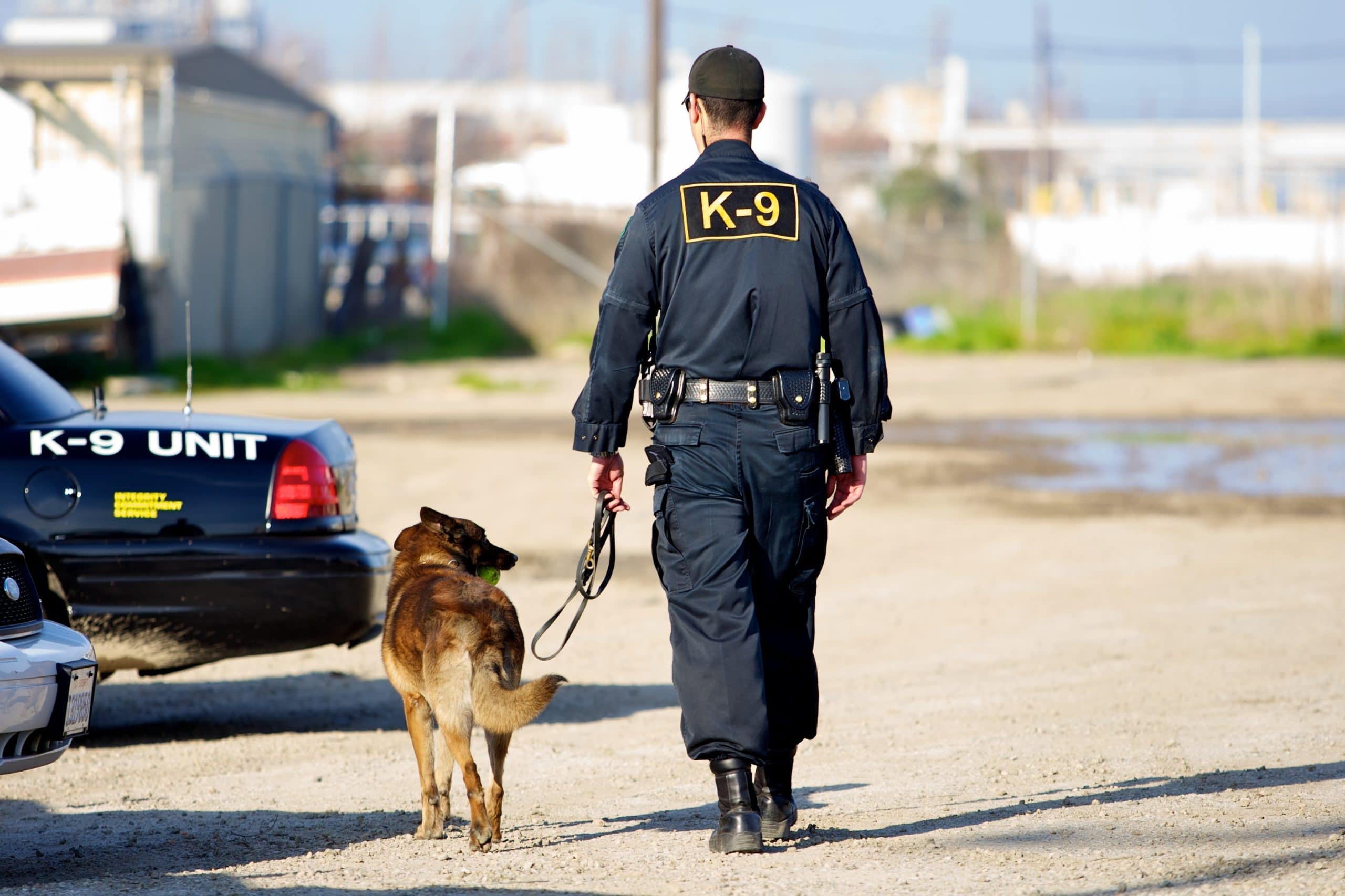 When Can Police Use a Drug Sniffing Dog?